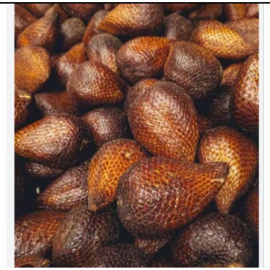 

salak pondoh kode hdd09