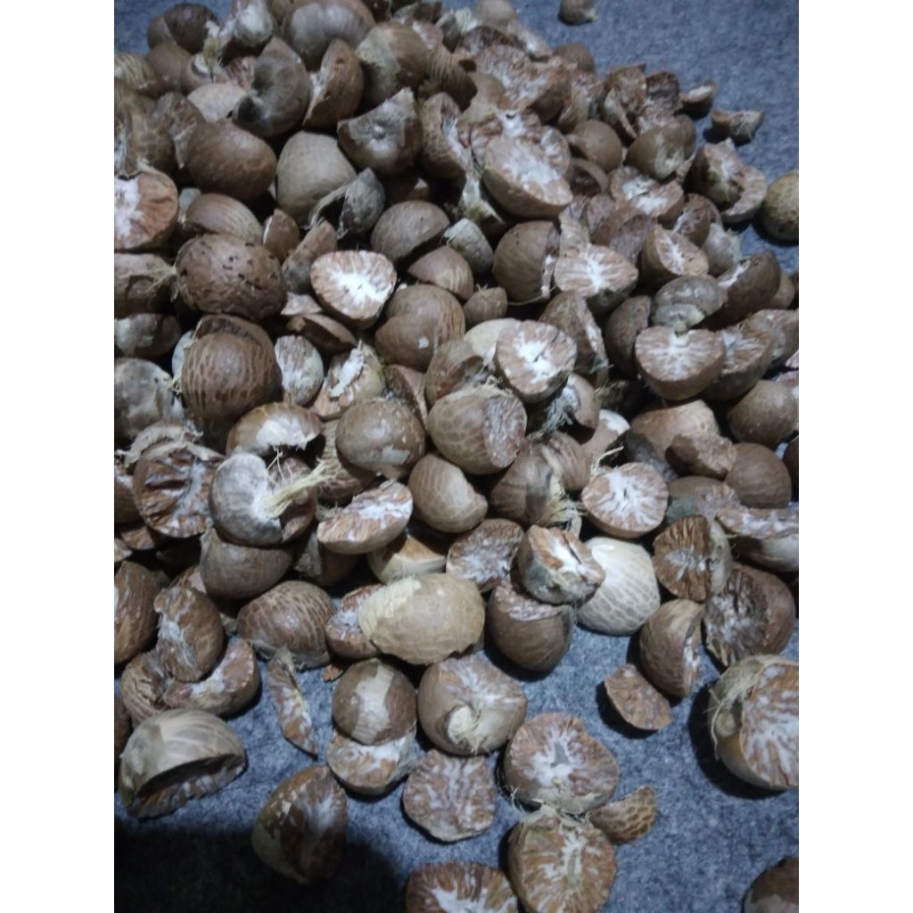 

PINANG TUA 1KG KUPAS KERING SIAP OLAH