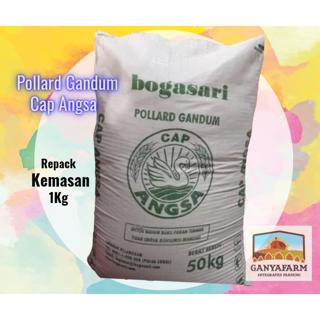 Pollard Gandum Cap Angsa 1Kg Original Bogasari