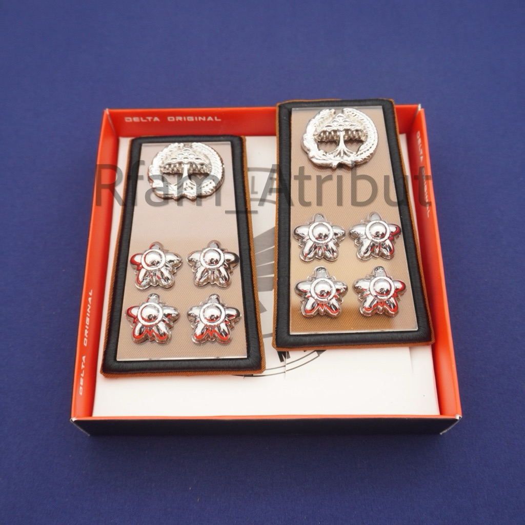 Pangkat Pns Lampung 3D Mika Akrilik / Pangkat asn lampung Premium