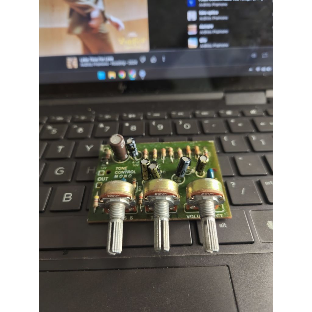 tone control mono 12v