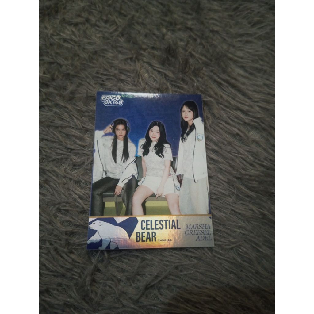 Panini ERIGO Calestial bear