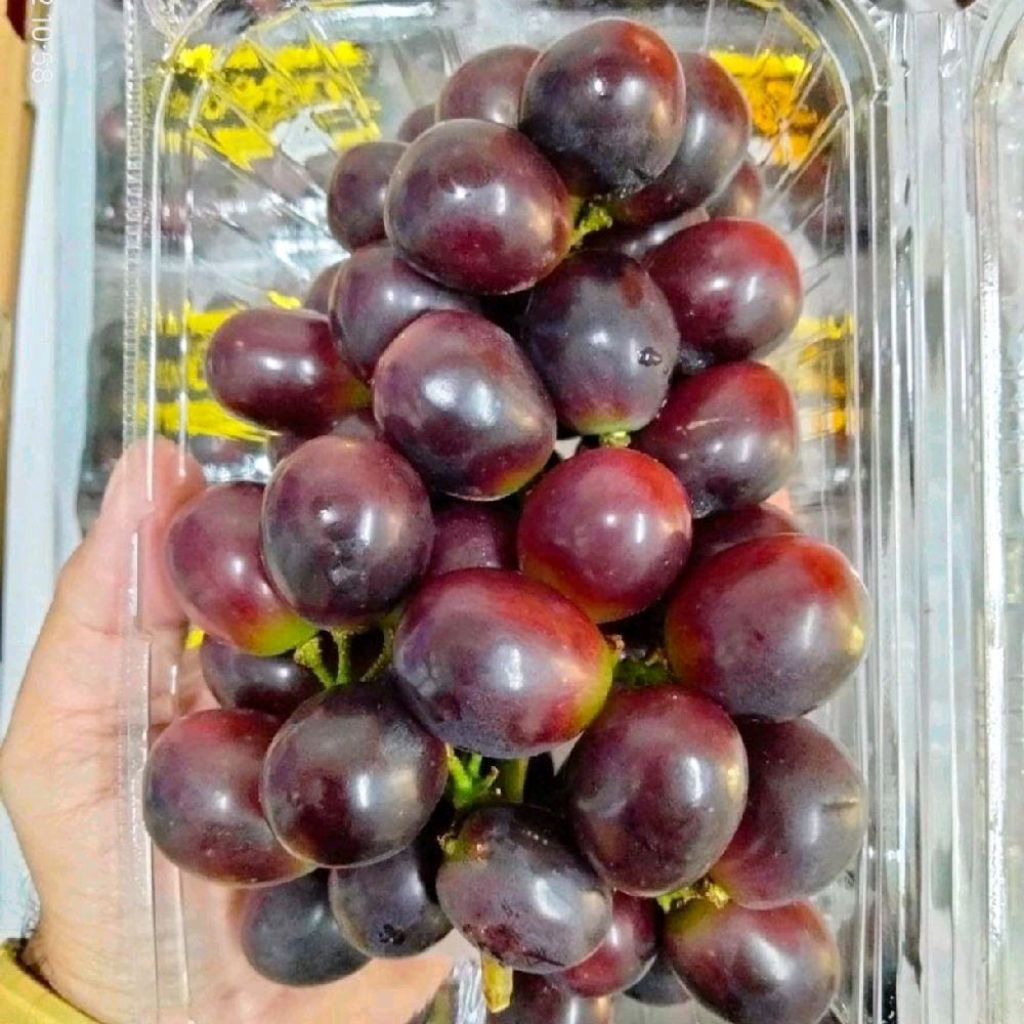 Buah  anggur black Muscat manis segar  1 kg