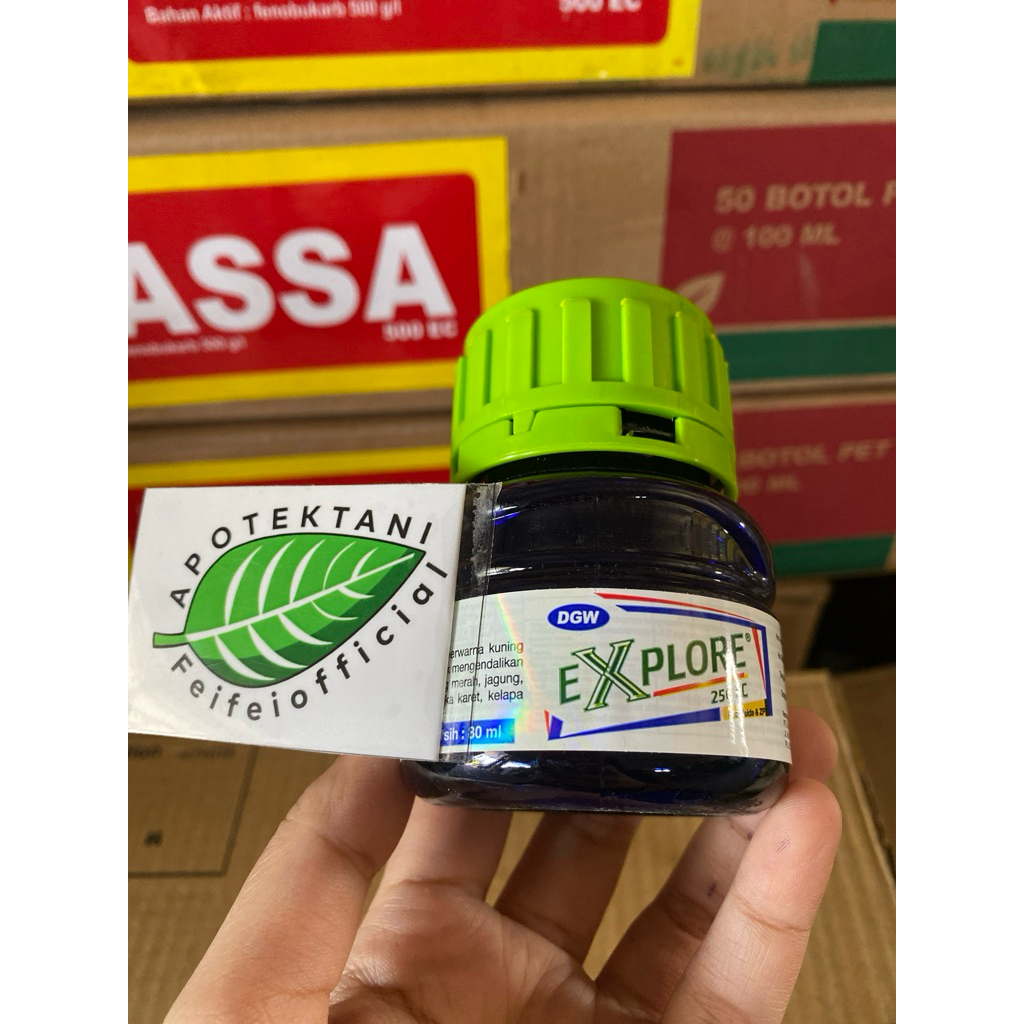 EXPLORE 80 ML FUNGISIDA / EXPLORE 80ML