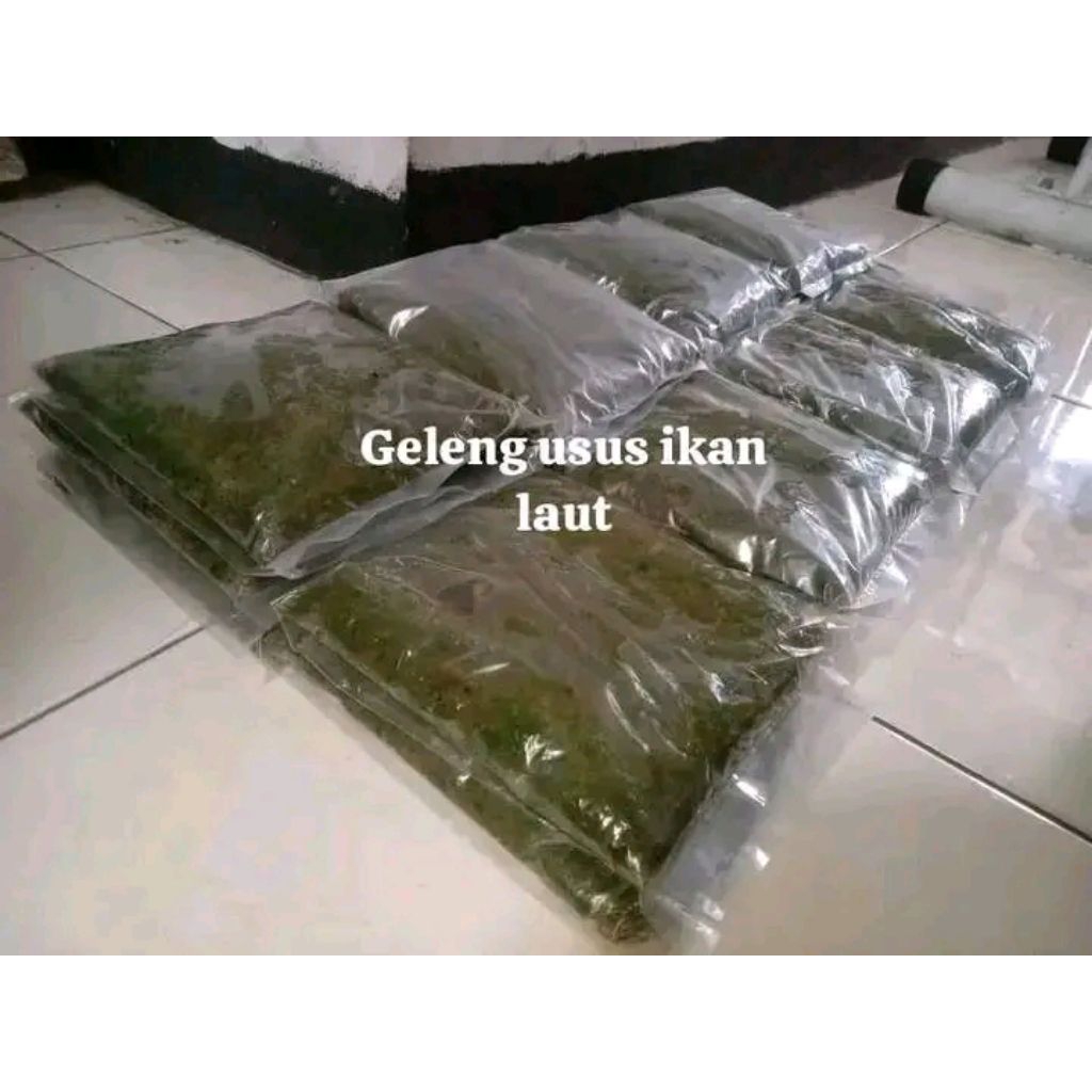 

GELENG USUS IKAN LAUT