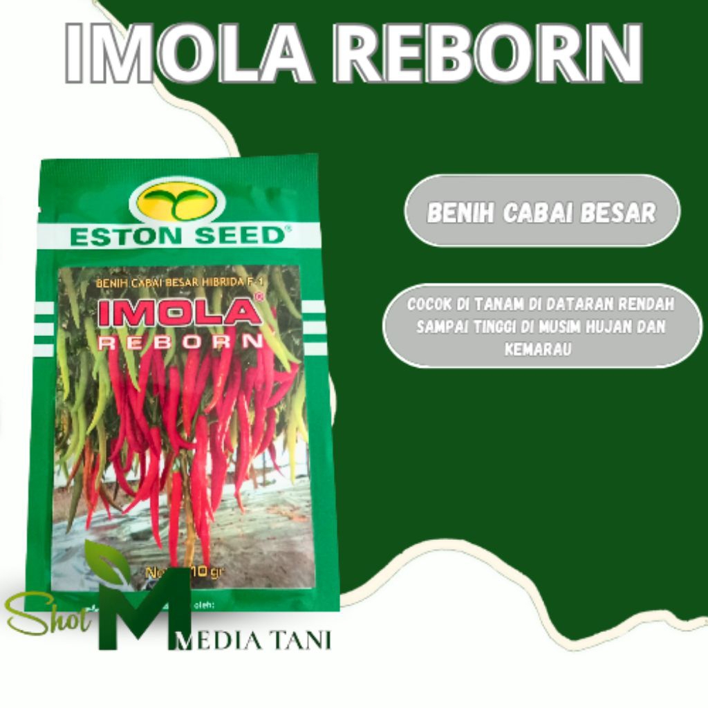 Benih Cabe Imola Reborn 10gr Original Pabrik Hijau Merah Tanaman