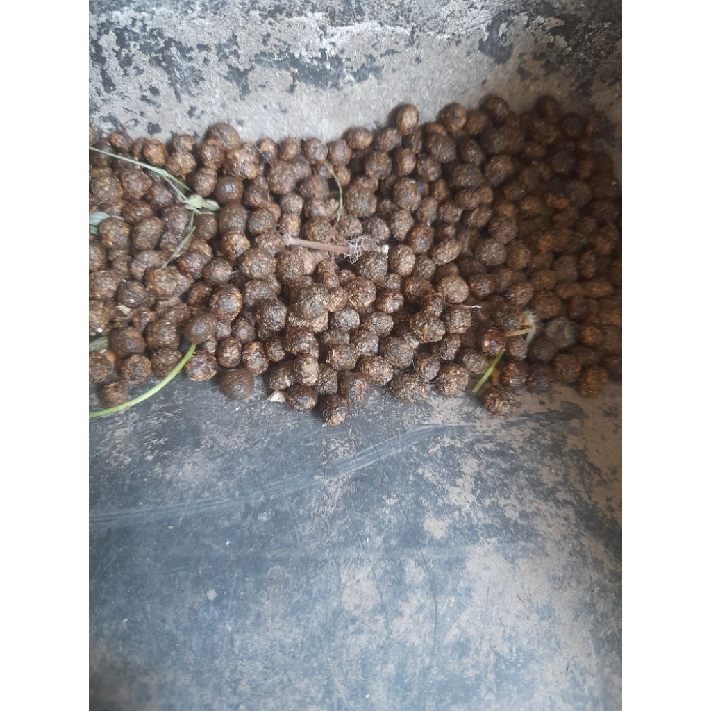 pupuk kandang kotoran kelinci/koci/kohe kelinci 600 gram
