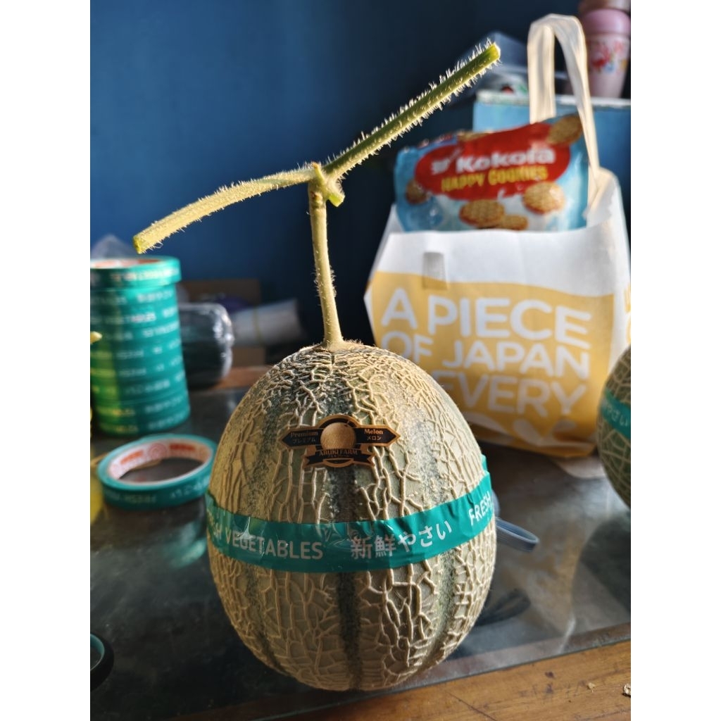 

melon premium fujisawa, rangipo dan inthanon