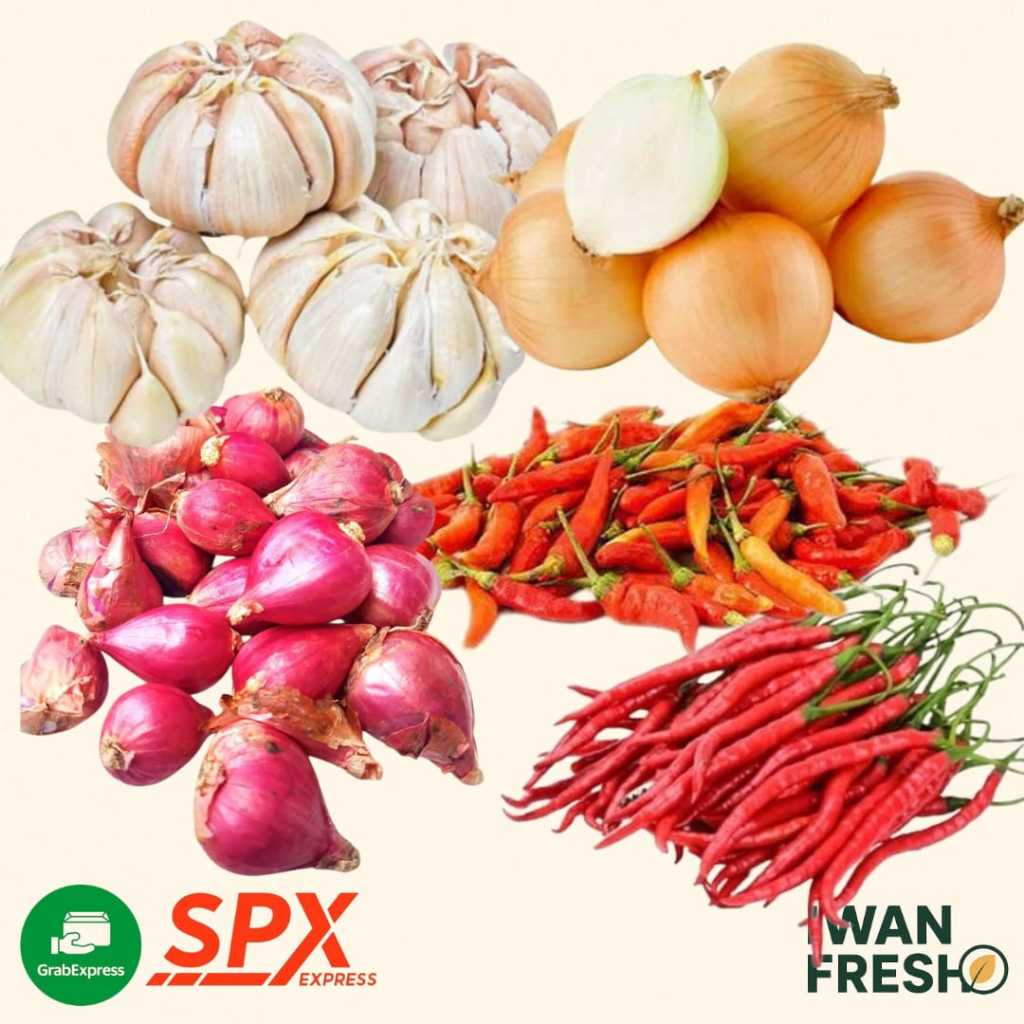 

Paket Bawang Dapur – Hemat & Praktis | Kitchen Onion Pack – Easy & Fresh