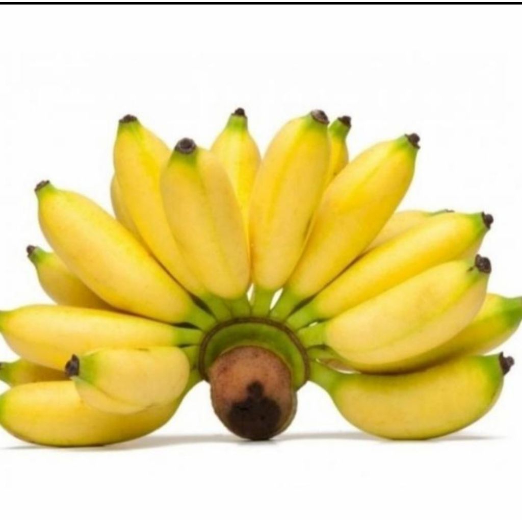 

Pisang berlin 1 sisir