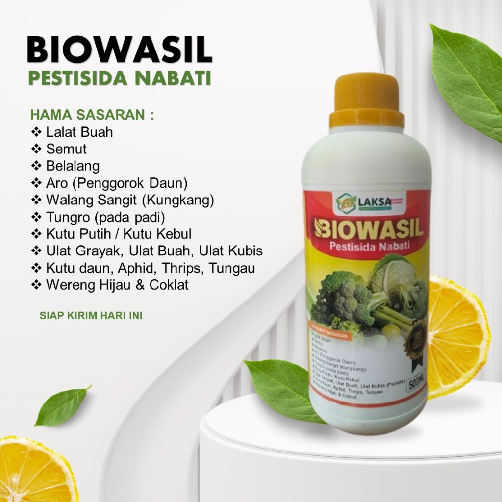 BIOWASIL 500ML – Pestisida Nabati Organik Terbaik Obat Hama Ulat Grayak, Ulat Buah, Ulat Kubis, Thri