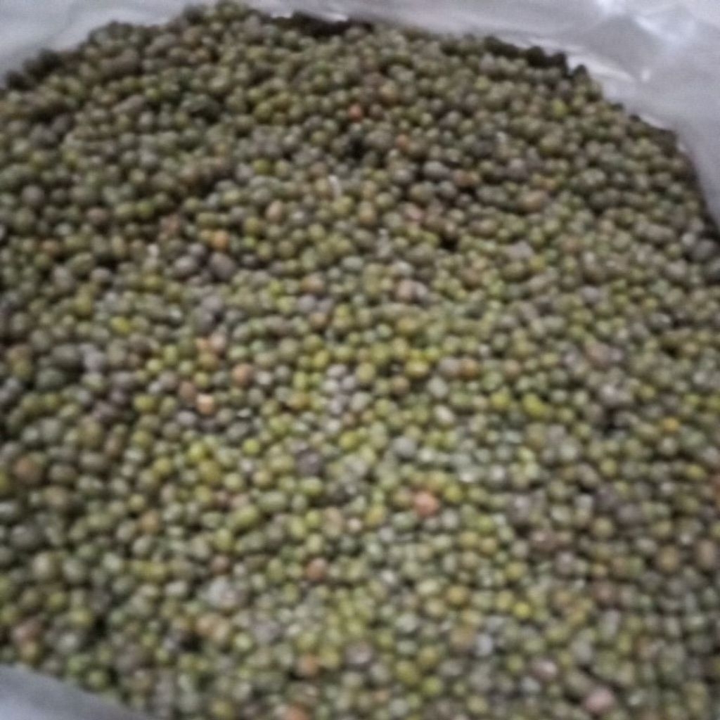 KACANG HIJAU 1KG
