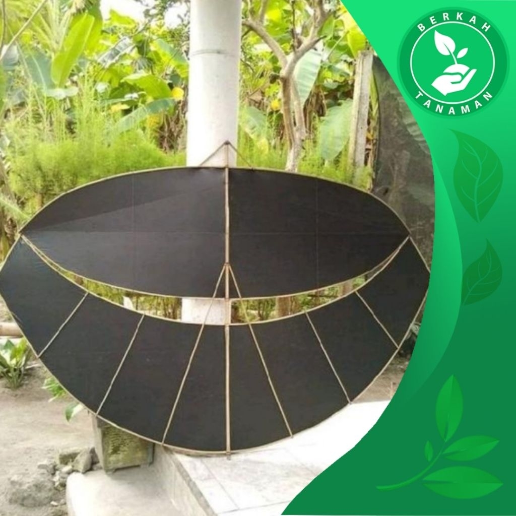 Layangan Pegon Ceper Ukuran 1,5 Meter (Belum Dirakit)