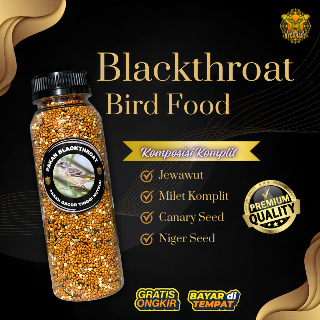 Pakan burung Blackthroat jamin gacor | Pakan blackthroat terlaris