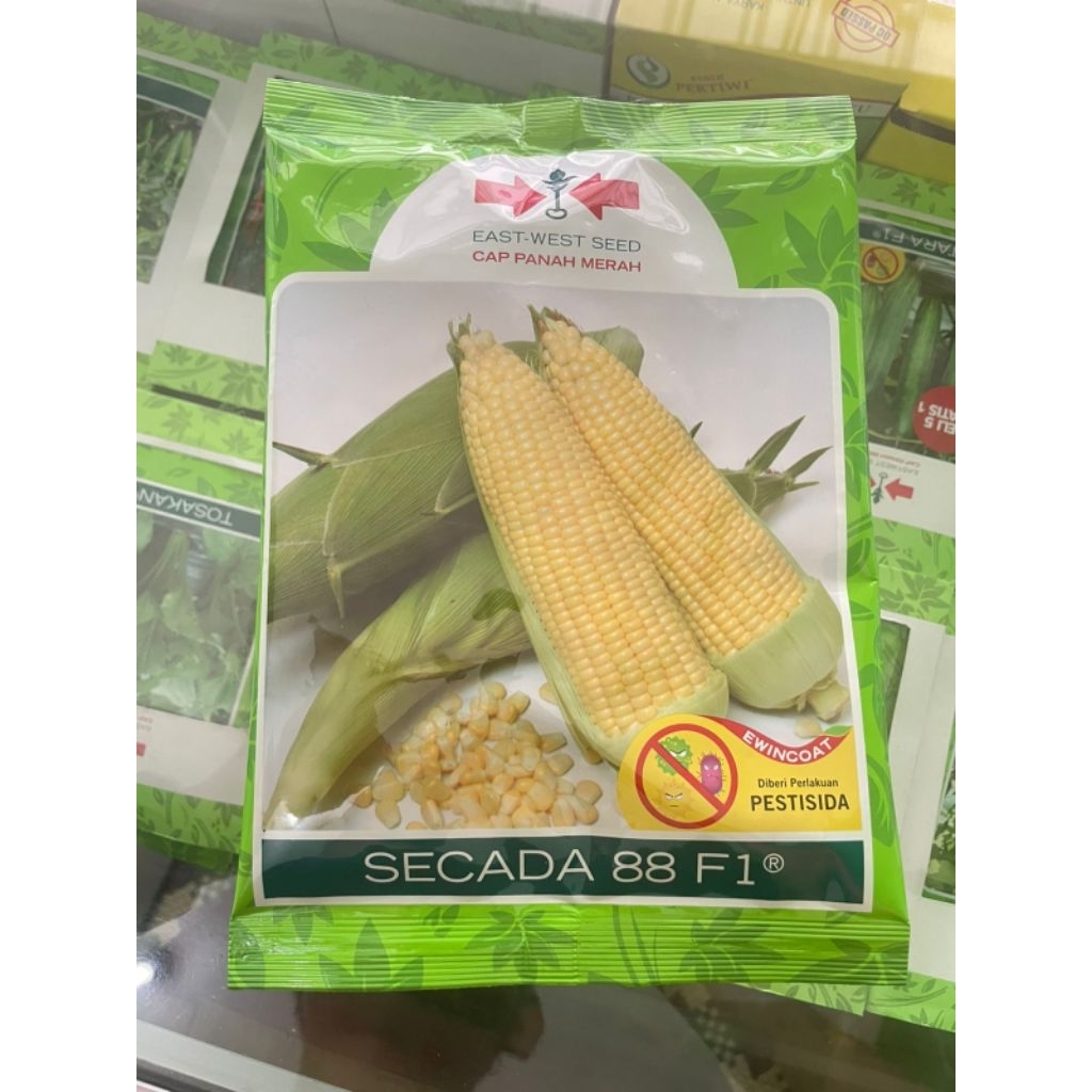 benih jagung manis Scada 88 isi 1750 butir panah merah exp 2026