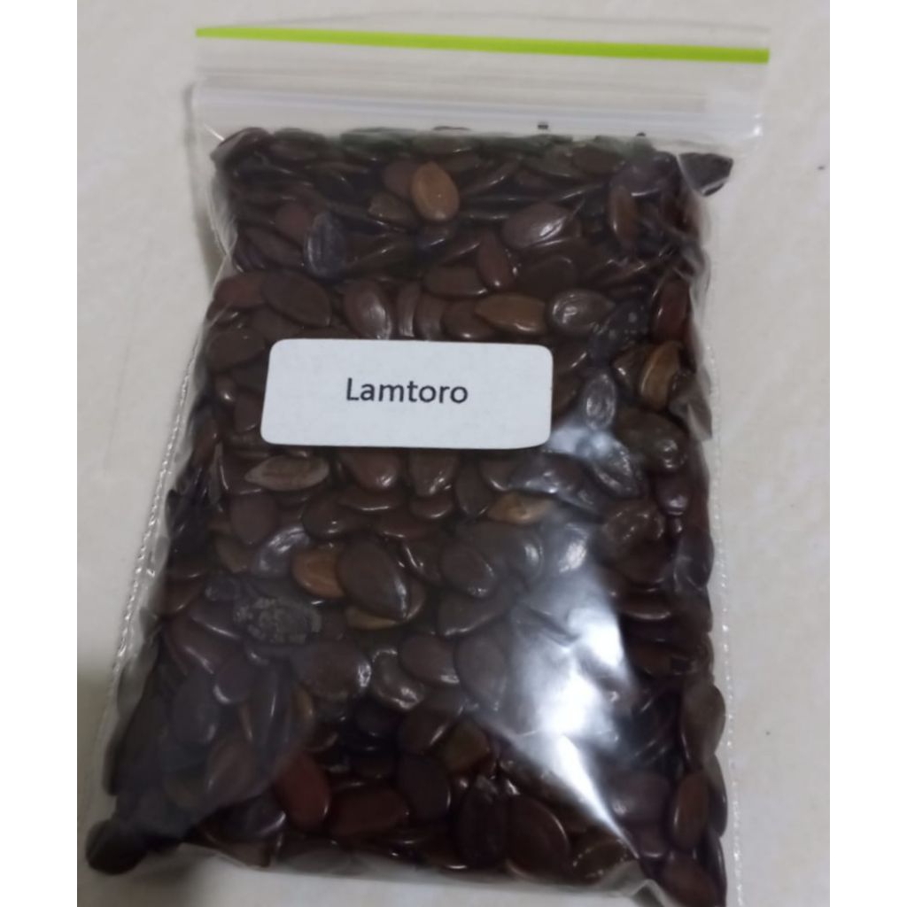 Biji Lamtoro 50 gram