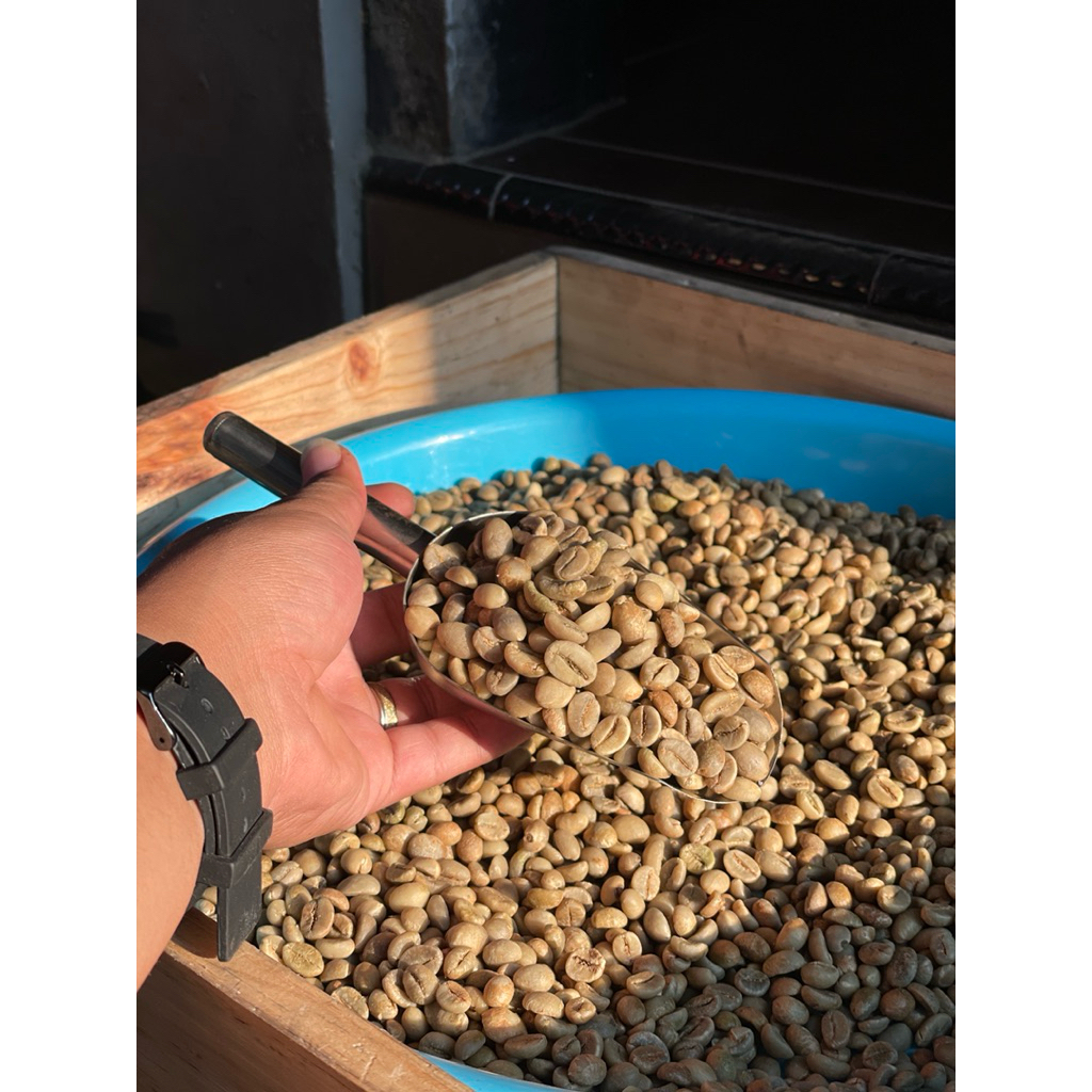 

Biji Kopi Robusta Dampit Natural / Fine Robusta Dampit / Robusta Dampit Biji Besar (Petik Merah)- Kemasan 1 kg