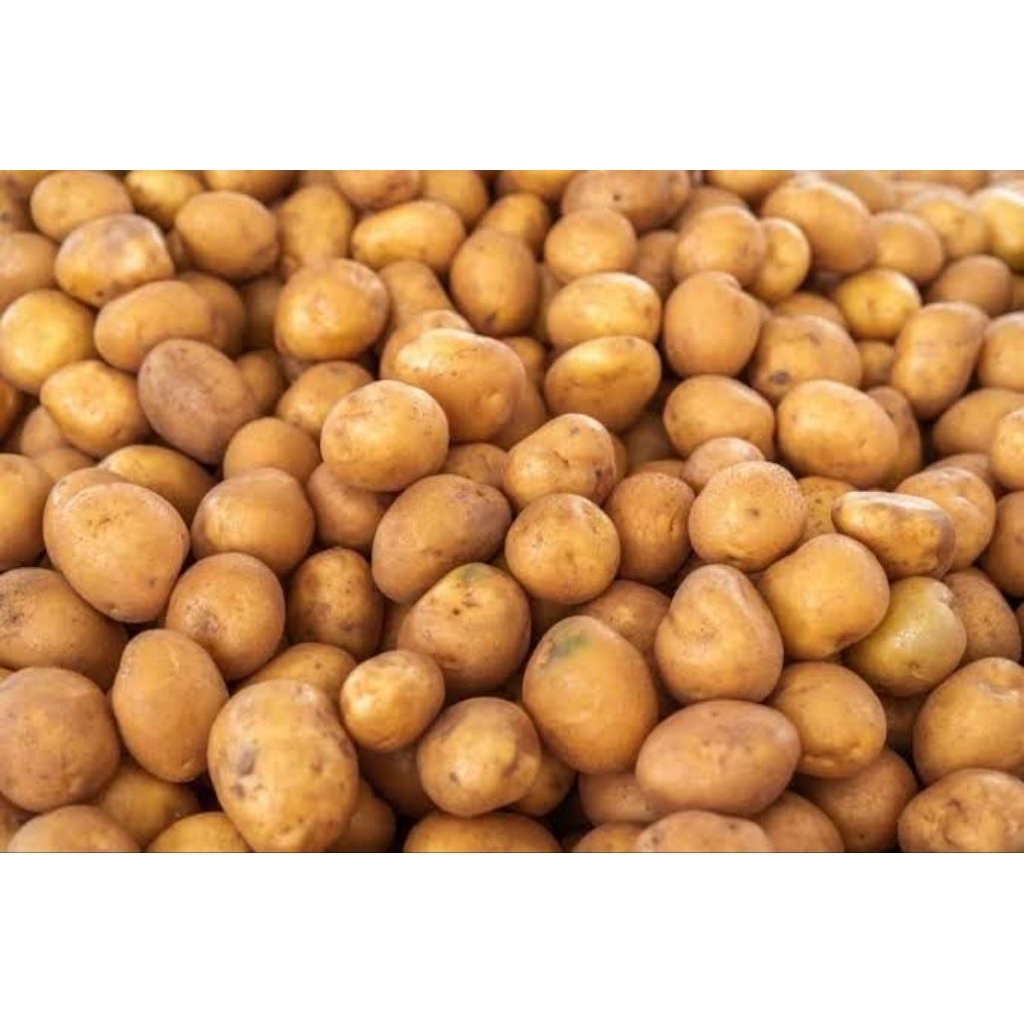 

Kentang DN 1kg ,kentang sayur