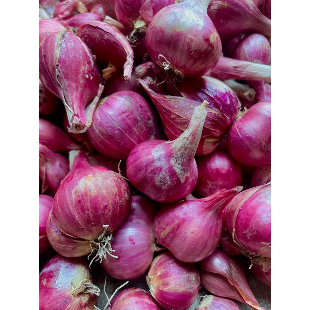 

BAWANG MERAH 1 KG ASLI NGANJUK LANGSUNG DARI PETANI
