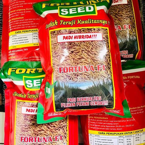 TERLARIS>Benih Padi Hibrida Fortuna Seed F1 Aromatik 1KG
