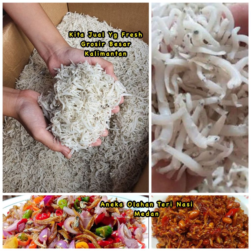 

COD 500 GRAM TERI NASI MEDAN IKAN KECIL ASIN KERING SUPER