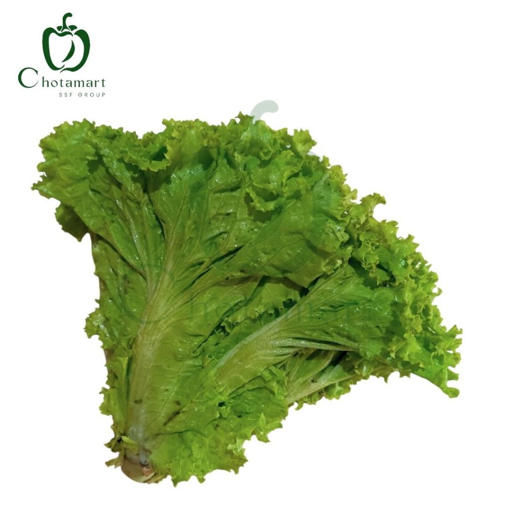 

Selada Keriting 200-300g