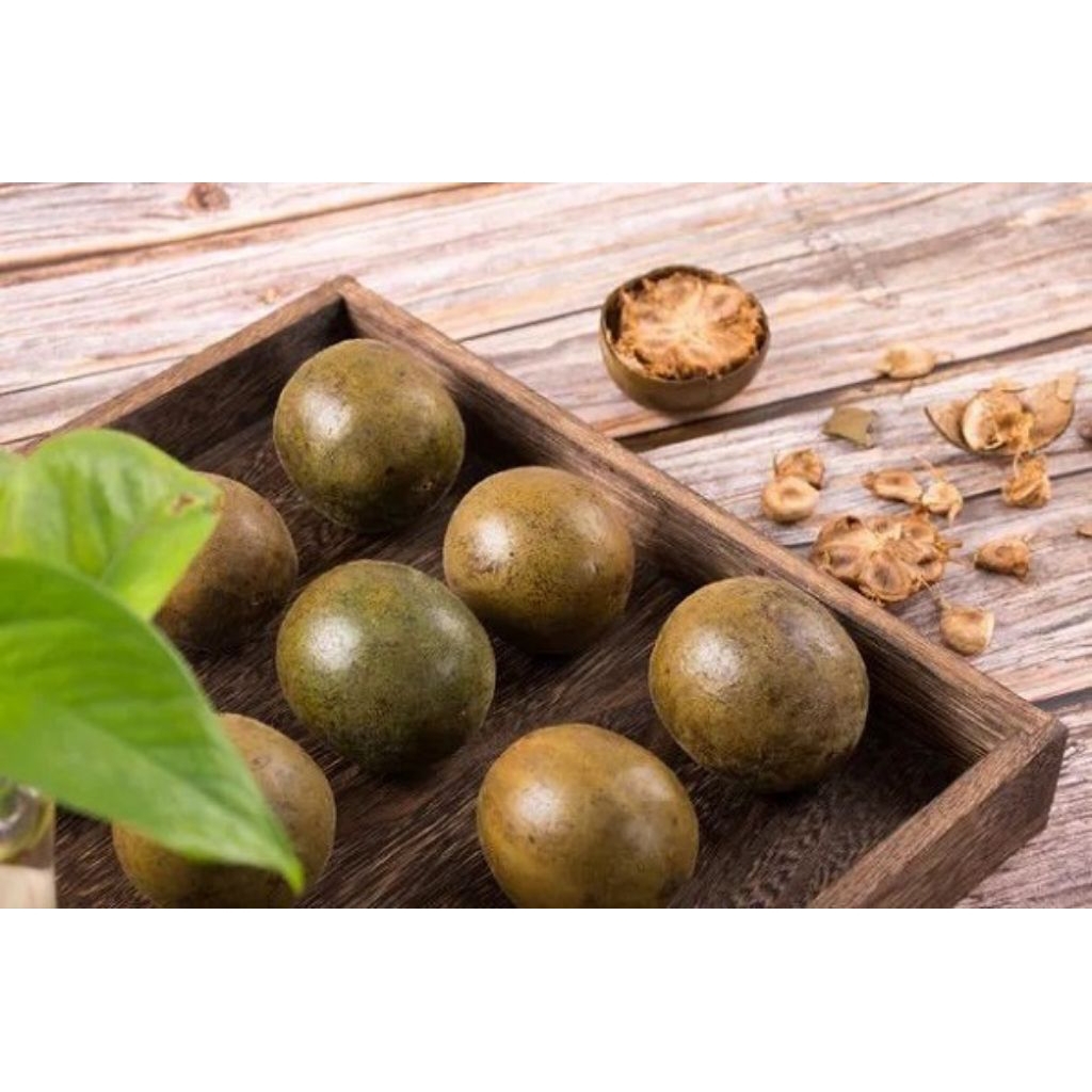 

LO HAN KUO LUO HAN GUO LOHANKUO LUOHANGUO LOHANKO LO HAN KO PANAS DALAM FLU BATUK RADANG TENGGOROKAN BUAH MONK FRUIT