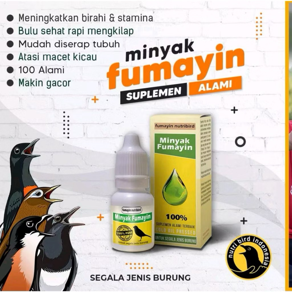 Suplemen Burung Minyak Fumayin Pemulihan Burung macet berkicau, penggacor burung