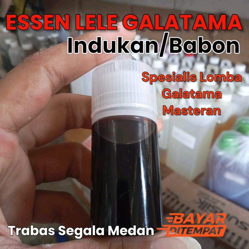 Essen Ikan Lele Aroma Blenok Amis Paling Gacor, Essen Ikan Lele Galatama Paling Gacor, Essen Ikan Le