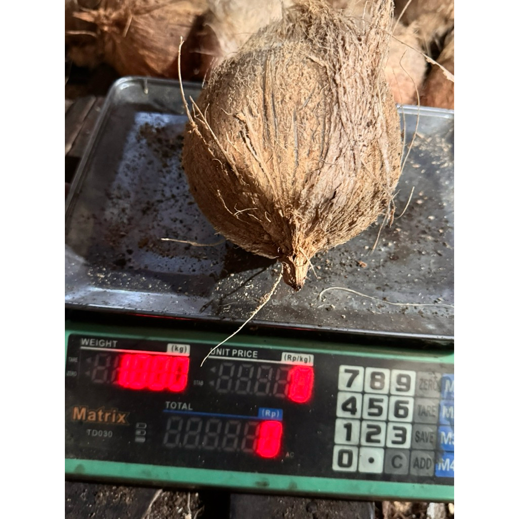 

Kelapa Tua Ukuran 1 KG