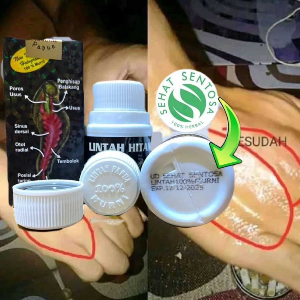 Minyak Lintah Hitam Papua Asli 100% Minyak Lintah Original 100% asli Minyak Lintah daun jarak cina