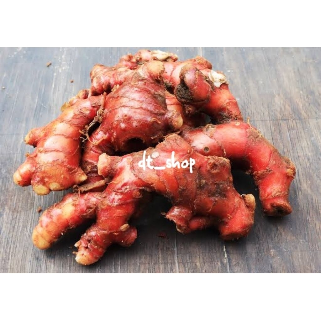 

Jahe merah segar 100 gram