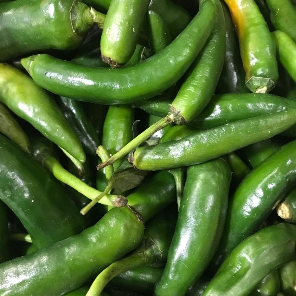 

Cabe Ijo Besar (TW Hijau) 500g @PasarKota