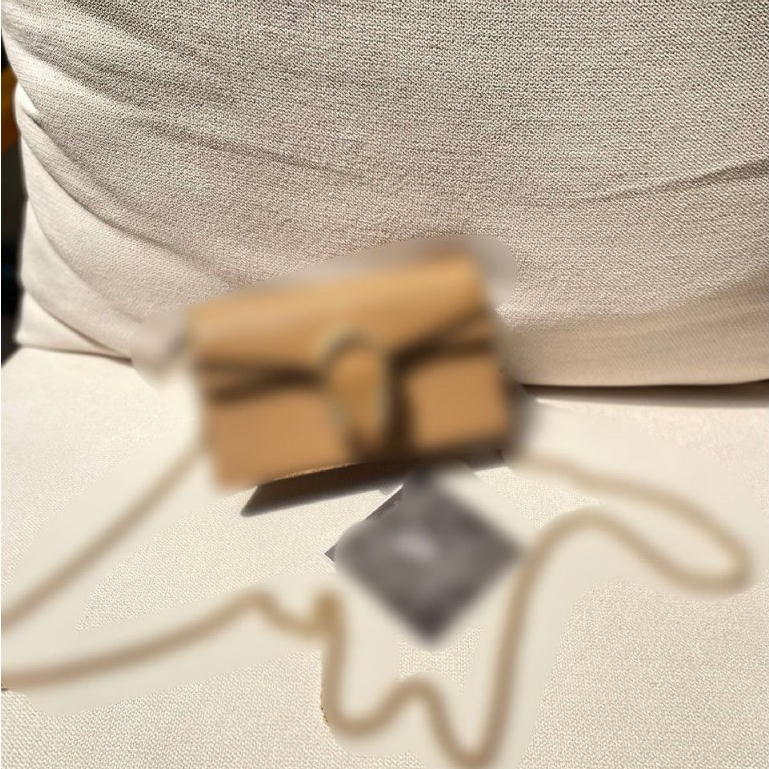 Pre order dionysus mini bag top- VLIXCO