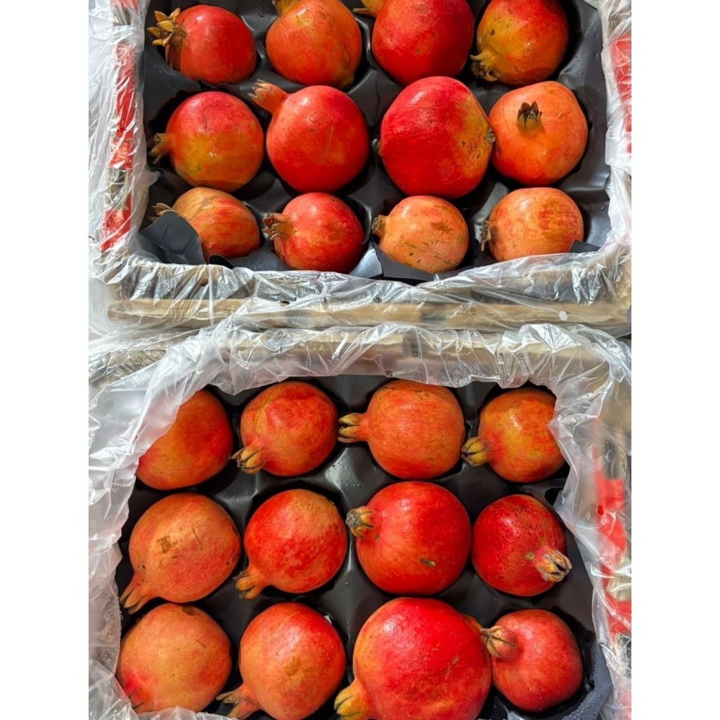 

Delima China 1 kardus 2 kg isi 12 biji