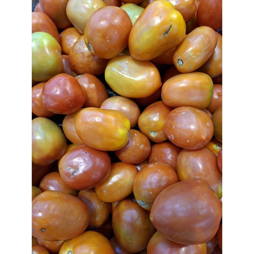

TOMAT TW/TOMAT SAYUR LOKAL BANDUNG FRESH