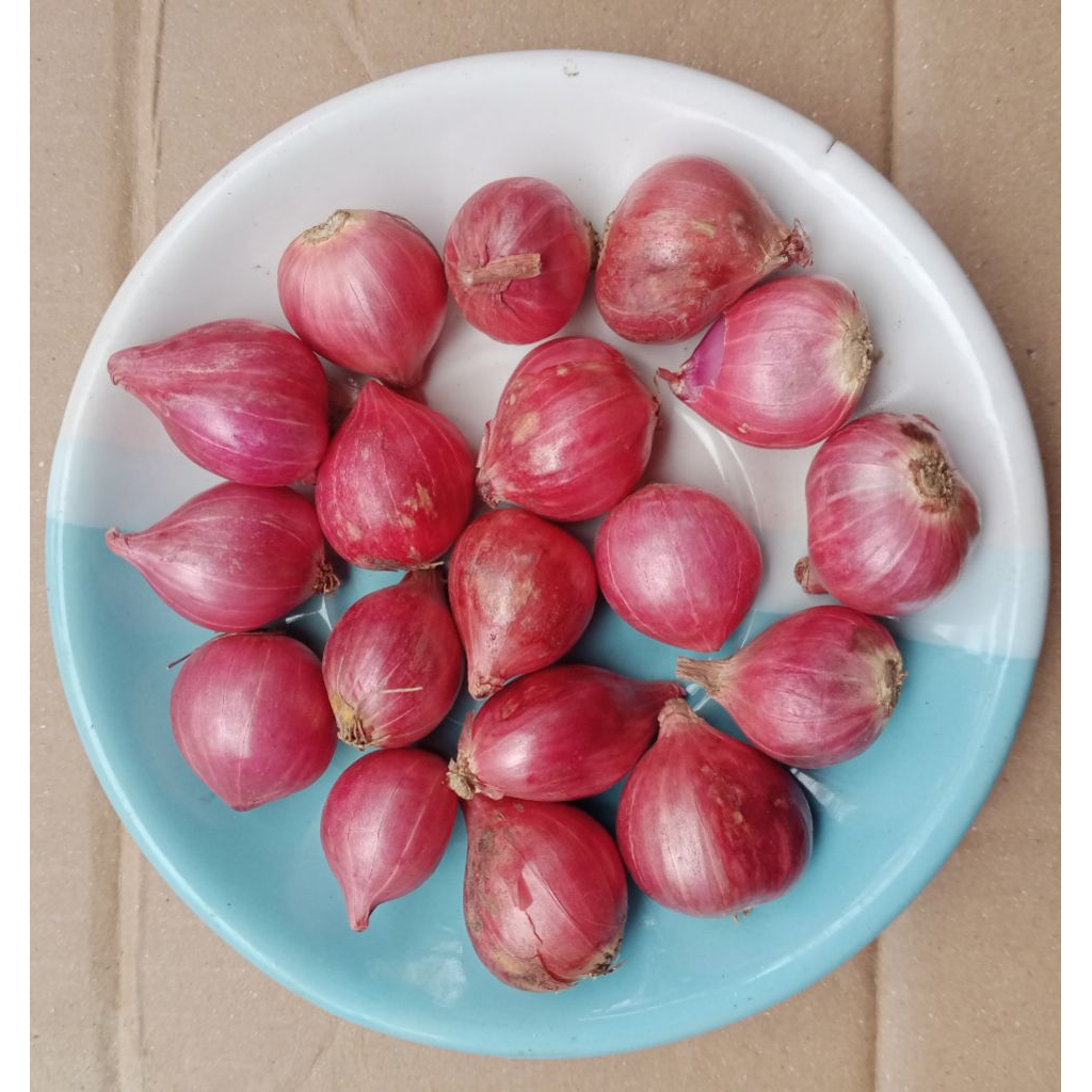 

BAWANG MERAH TANGGUNG RATA 1Kg