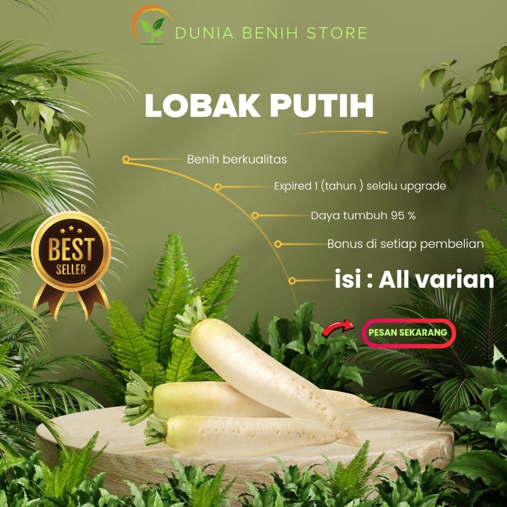 100 GRAM BIJI BENIH LOBAK PUTIH (BONUS BENIH) DI SETIAP PEMBELIAN
