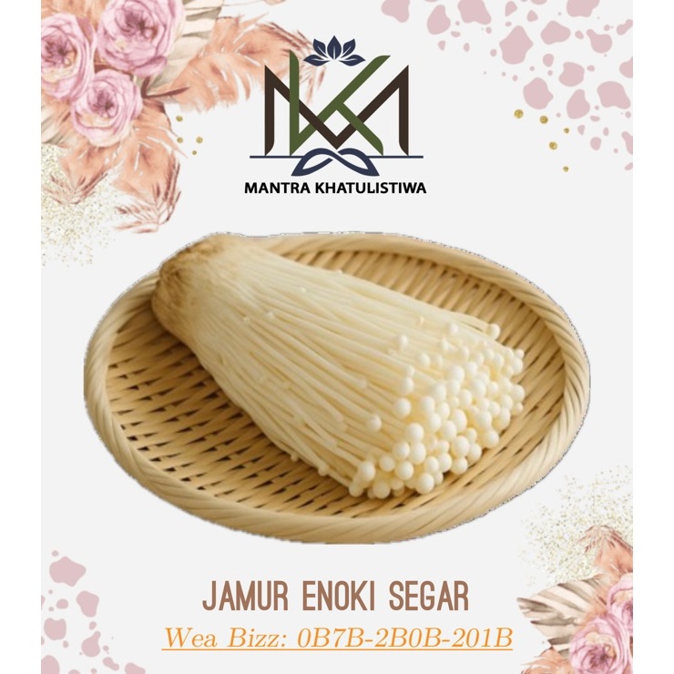 

JAMUR ENOKI SEGAR JAMUR KIPAS ENOKI IMPORT