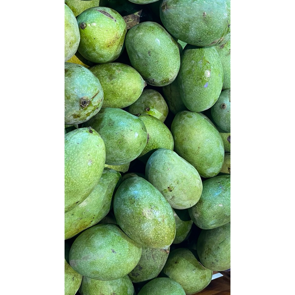 

Mangga Manalagi 900-1000kg