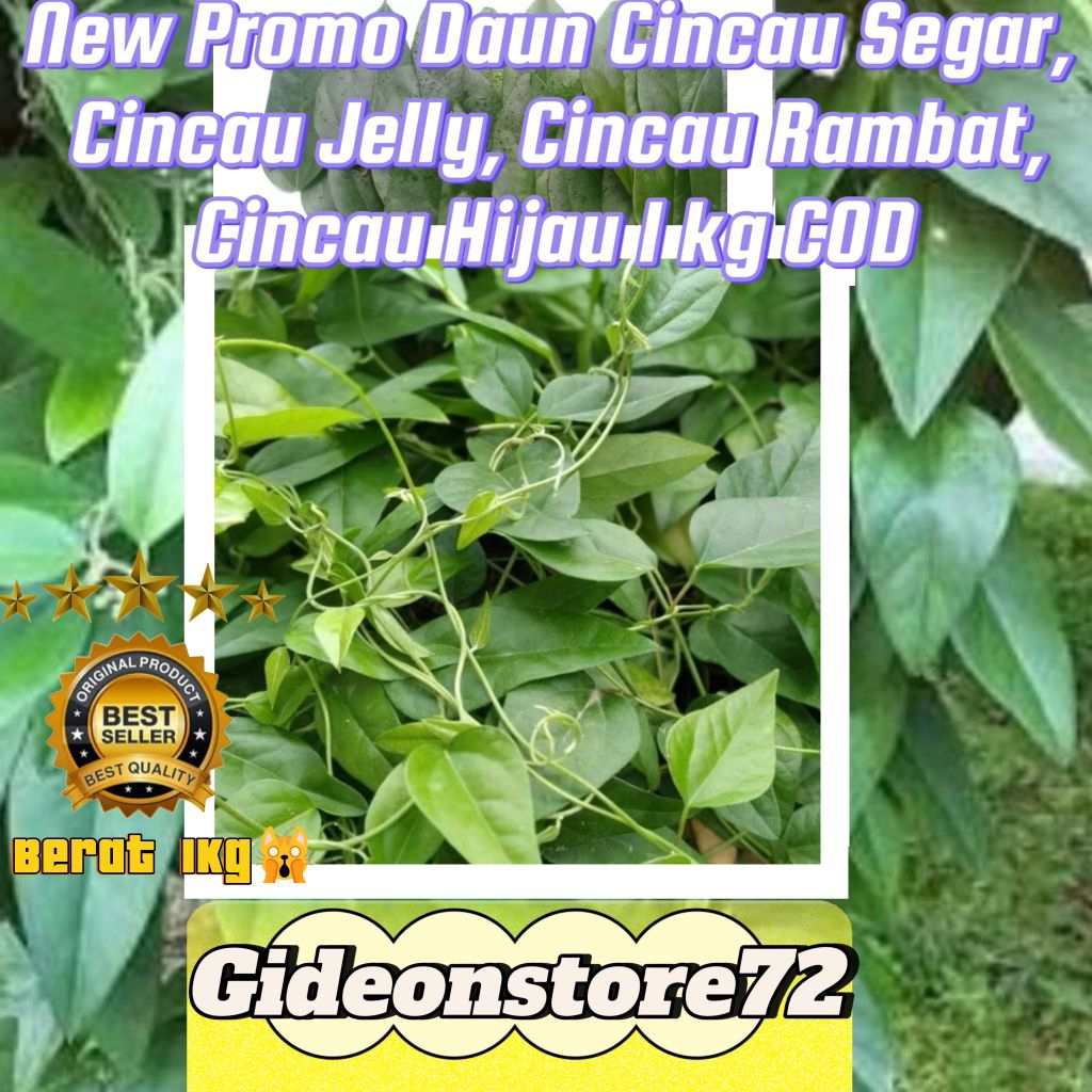 

Promo Daun Cincau Segar, Cincau Jelly, Cincau Rambat, Cincau Hijau