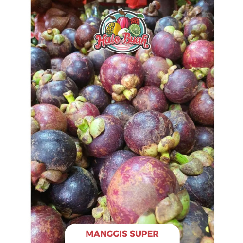 

BUAH Fresh Manggis Fruit SUPER 1KG