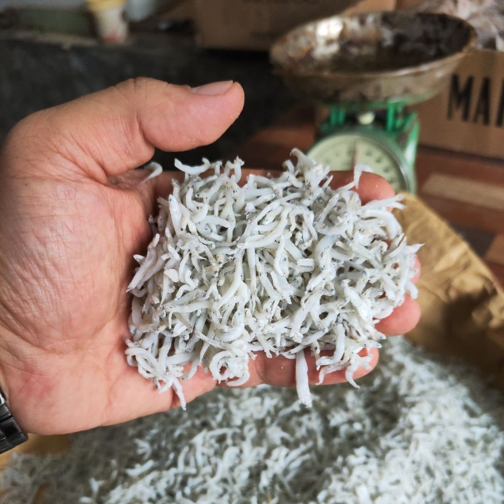 

Teri Nasi / Teri Medan / Teri Benang / Pekbut dari Tanjungbalai