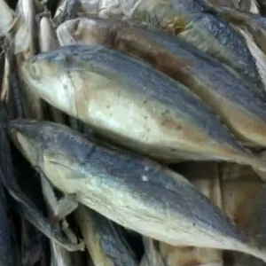 

ikan asin peda putih 1kg