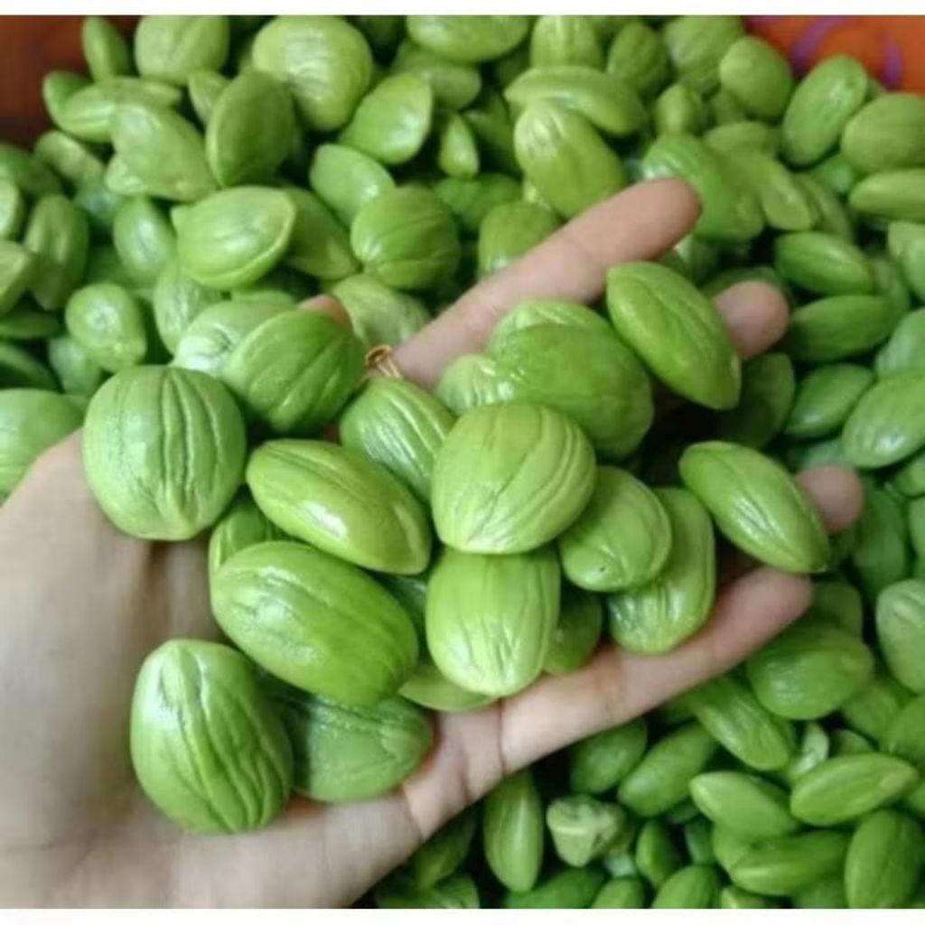 

PETE KUPAS MURAH VACUM JAWA SAJA