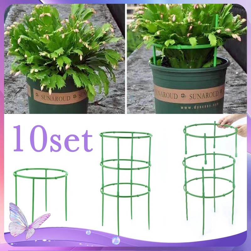 Penyangga Tanaman Rambat Melingkar Turus Tanaman Rambat Lanjaran Tanaman Merambat Plant Stake Ajir T