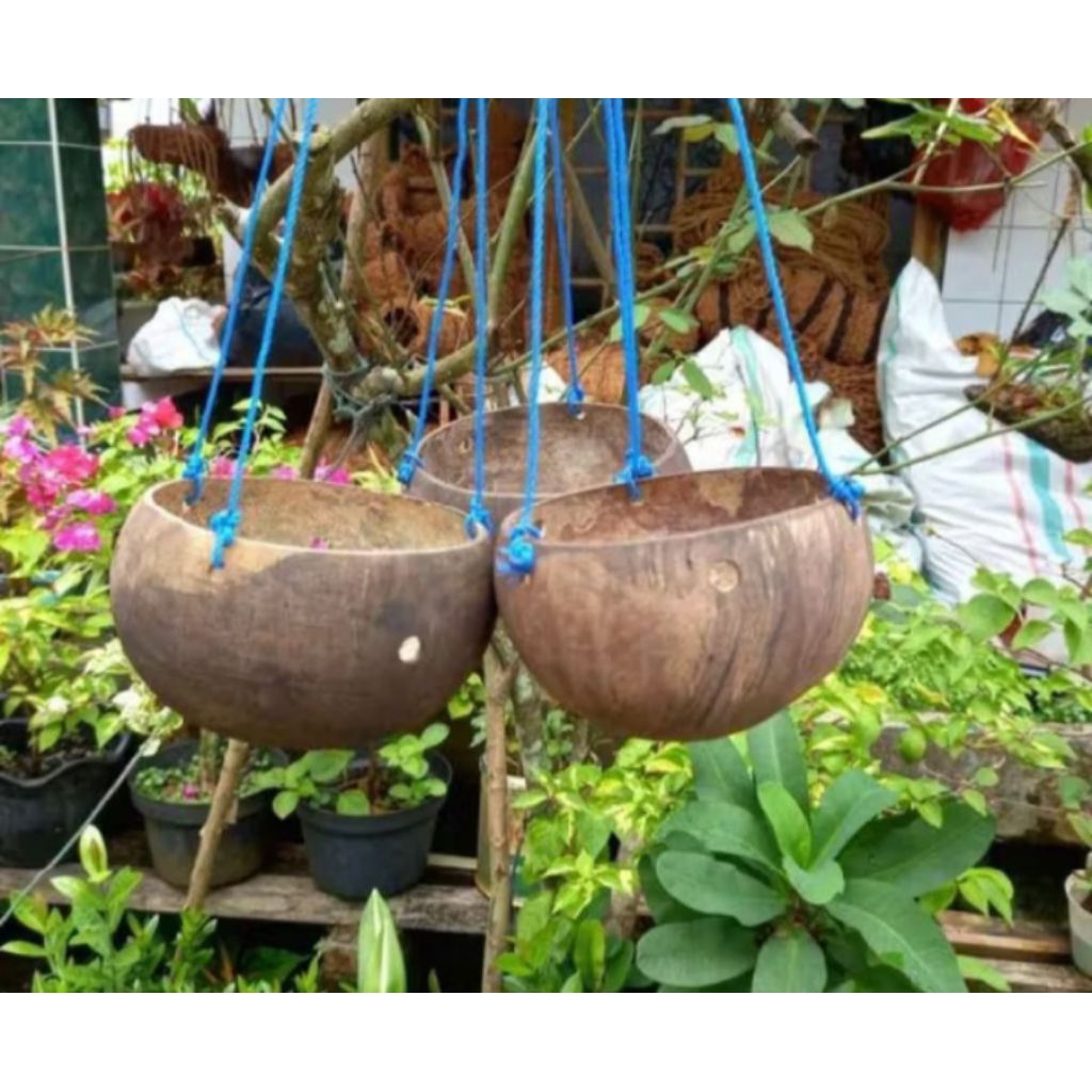 Terbaru pot gantung bahan batok alami
