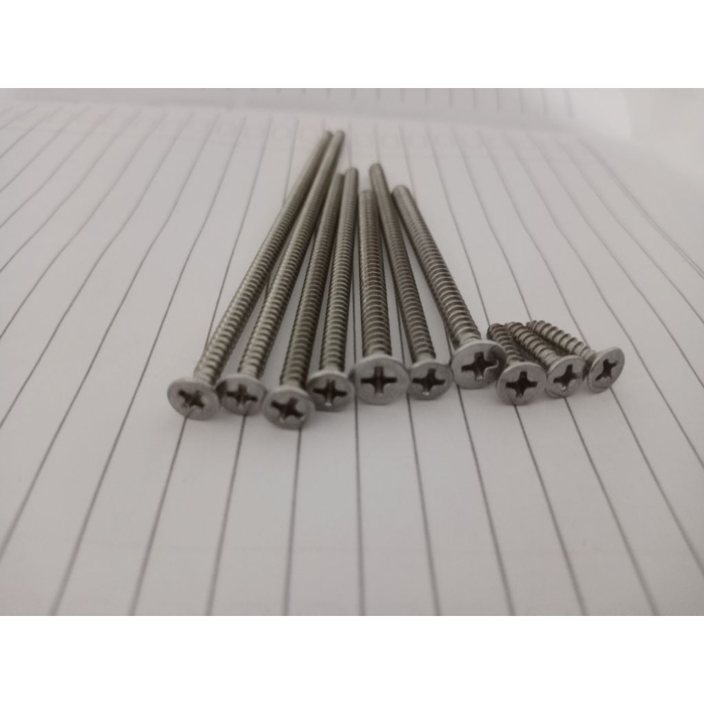 Skrup Stainless 6x3/4 FAB ss 6x3/4 Flathead self tapping screw 304