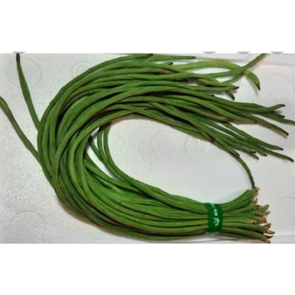 

kacang panjang 250gr