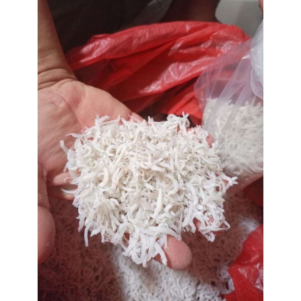 

IKAN TERI NASI SUPER KHAS MEDAN TANPA PEWARNA DAN PENGAWET